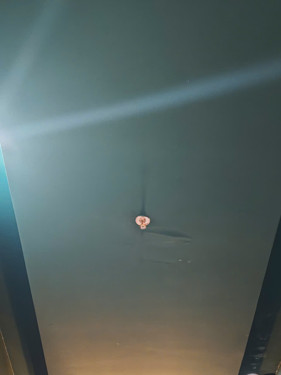 Cảm biến Sprinkler tự chữa cháy Trệt