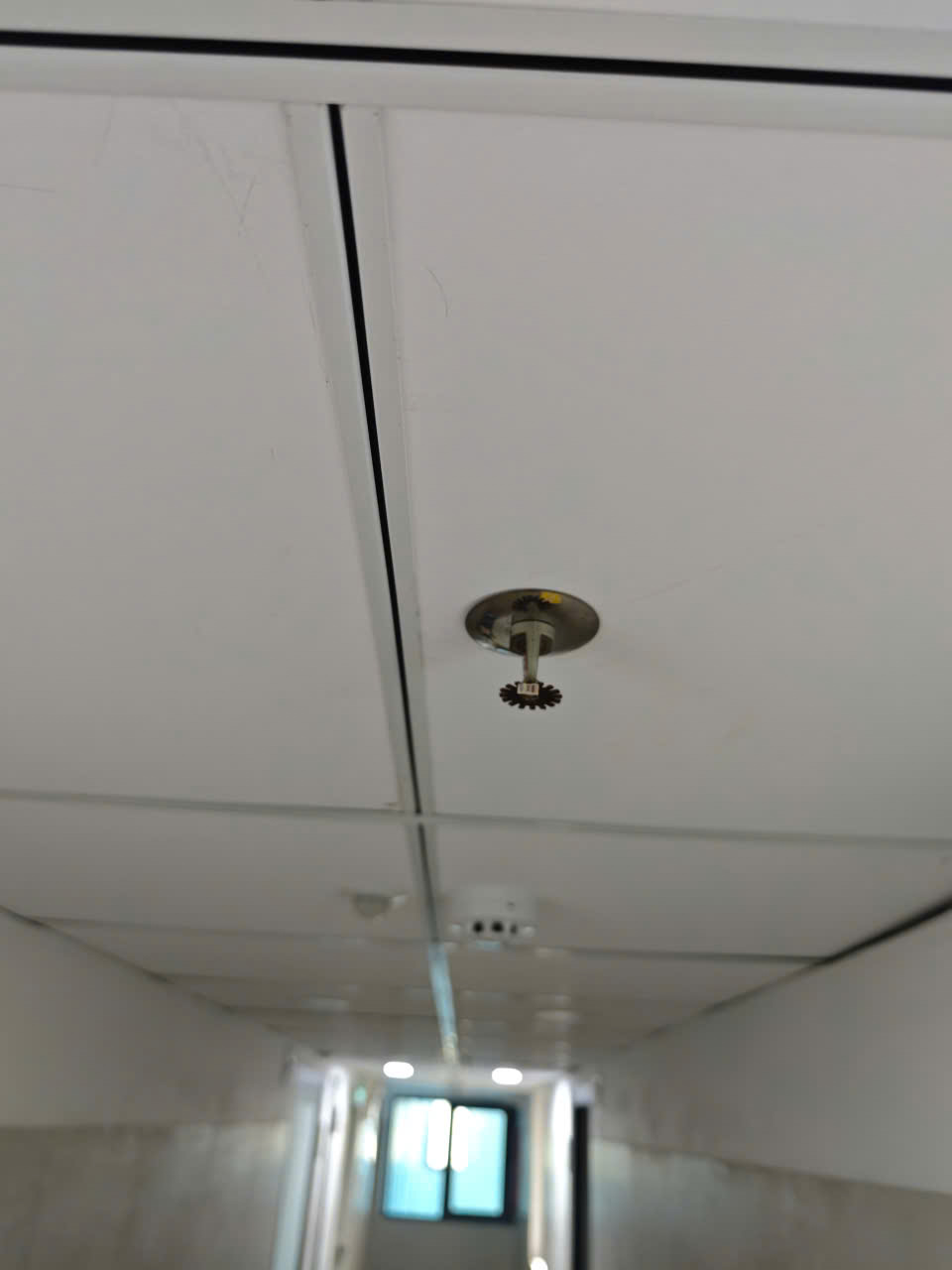 Cảm biến báo khói & Sprinkler tự chữa cháy hành lang lầu 1