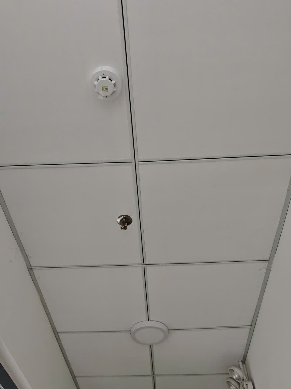 Cảm biến báo khói & Sprinkler tự chữa cháy hành lang lầu 2