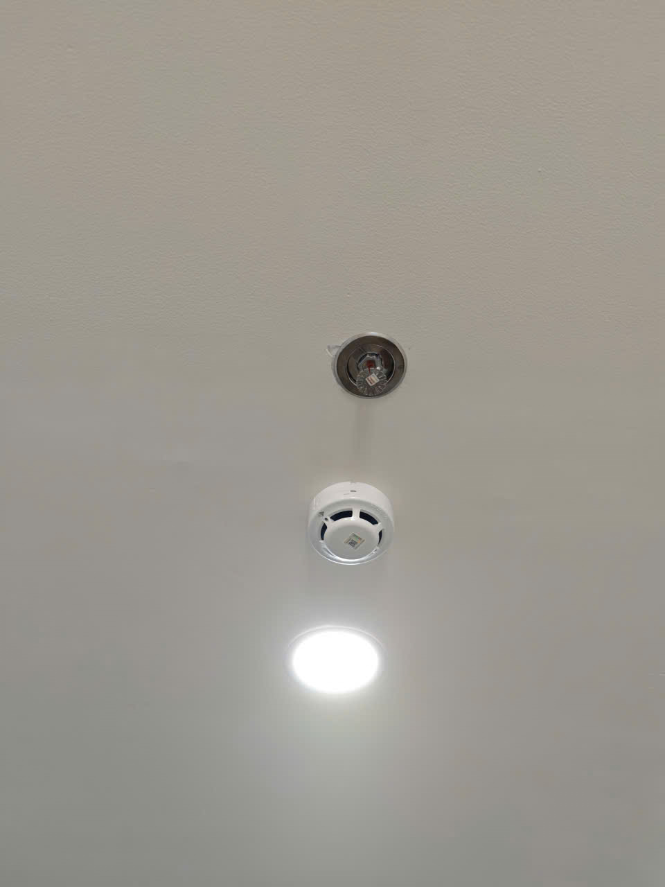 Sprinkler tự chữa cháy & cảm biến báo khỏi ở hành lang lầu 6