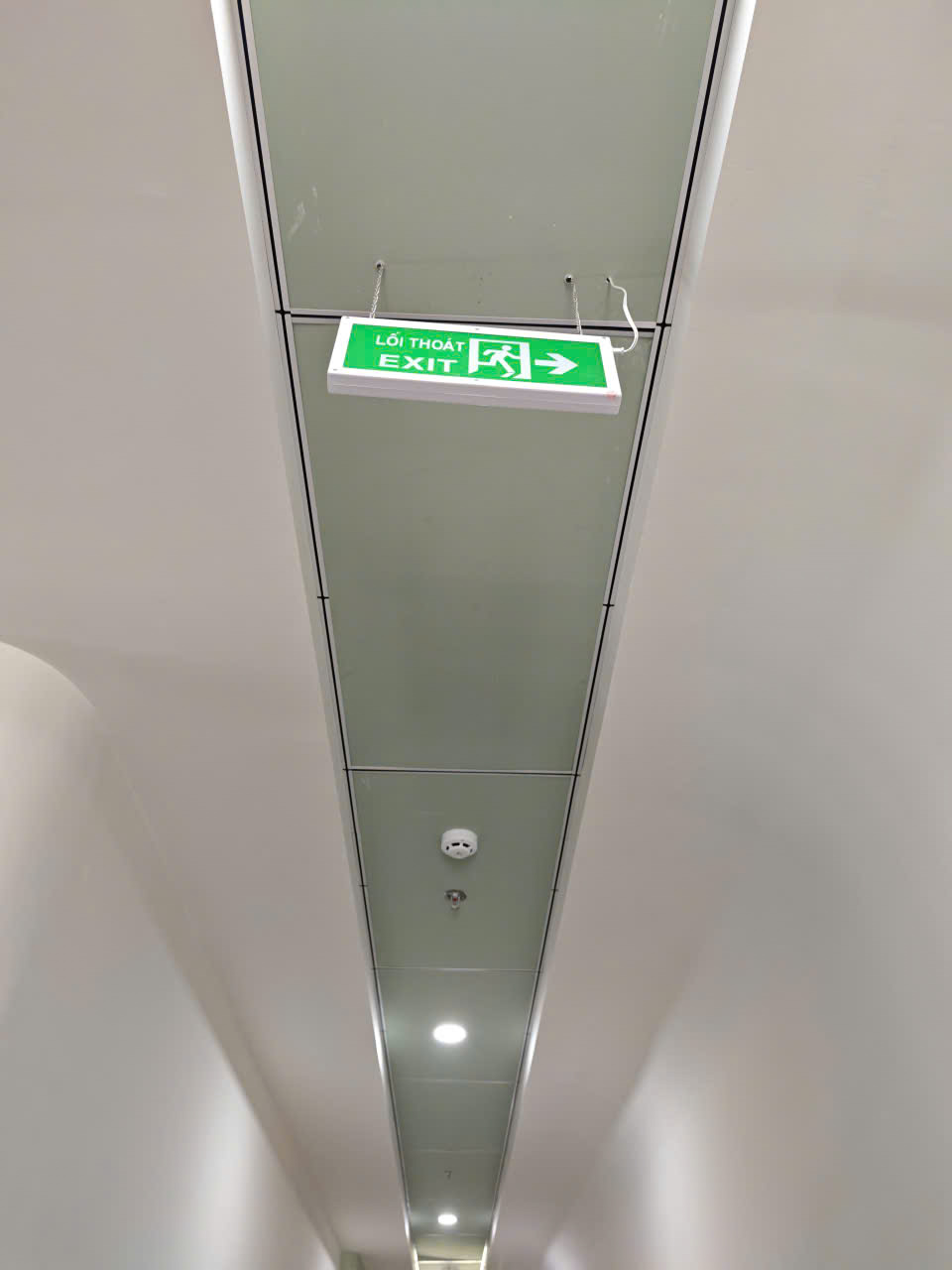 Sprinkler tự chữa cháy ở hành lang lầu 5